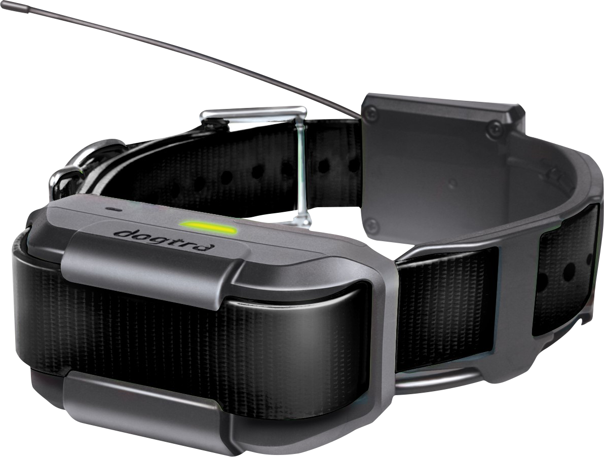 Dogtra Pathfinder Extra Collar Cabela's